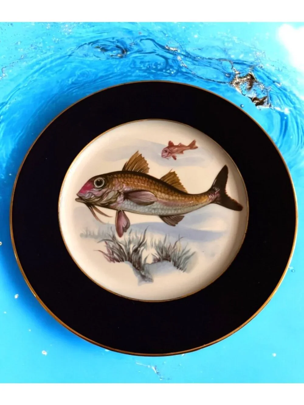 Set x 5 Vintage JWK Bavaria 10” Dinner Plates Fish Cobalt Gold Trim W. Germany